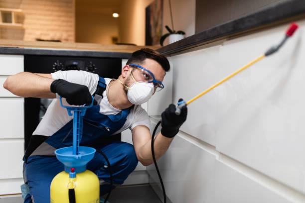 Best Cockroach Control Services  in Clearlake, CA