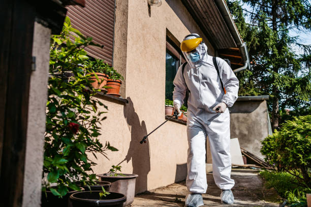 Best Local Pest Control Services  in Clearlake, CA