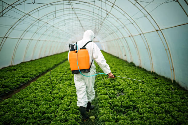 Best Ant Control Services  in Clearlake, CA