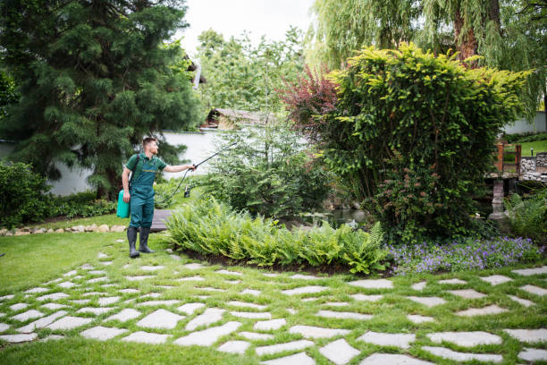 Best Commercial Pest Control Services  in Clearlake, CA