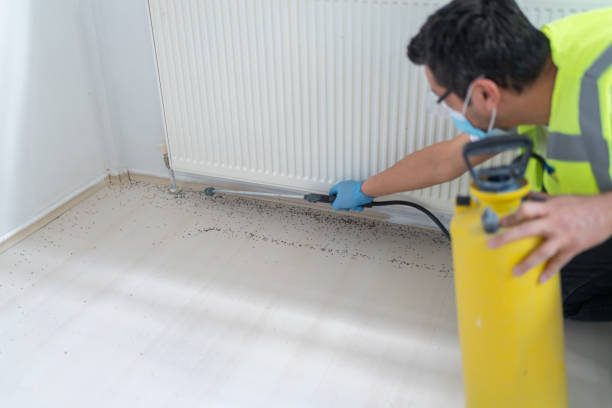 Best Best Pest Control Companies  in Clearlake, CA