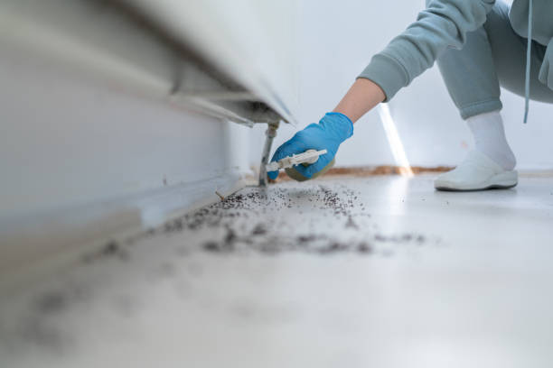 Best Affordable Pest Control Services  in Clearlake, CA