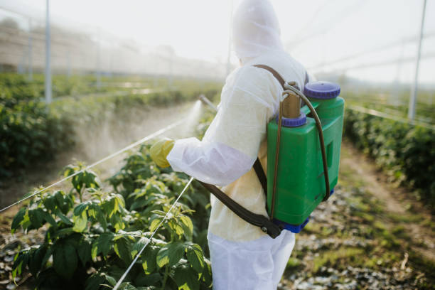Best Pest Inspection Near Me  in Clearlake, CA